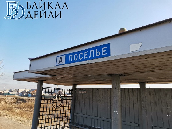 В пригородном районе Бурятии гоняются за медведем