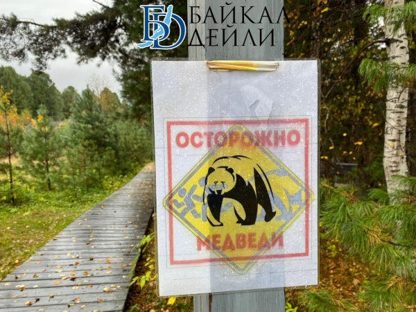 Остались лишь сапоги: В Бурятии медведь разрыл свежую могилу с покойником