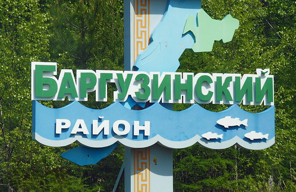 Пассажиры автобуса в Бурятии ударились в панику из-за медведей