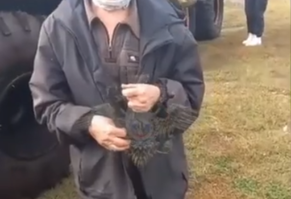 Пропавшую в тайге в Приангарье пенсионерку нашли спустя почти четверо суток