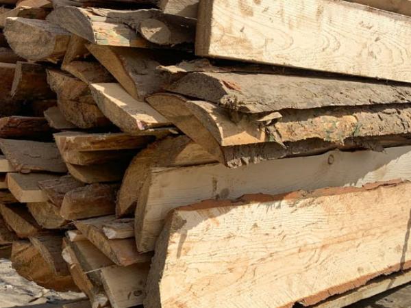 Более 1,8 тысячи проб сделал на севере Приангарья Россельхознадзор